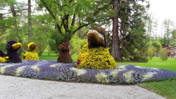 Insel_Mainau